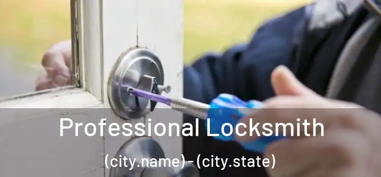  Professional Locksmith (city.name) - (city.state)